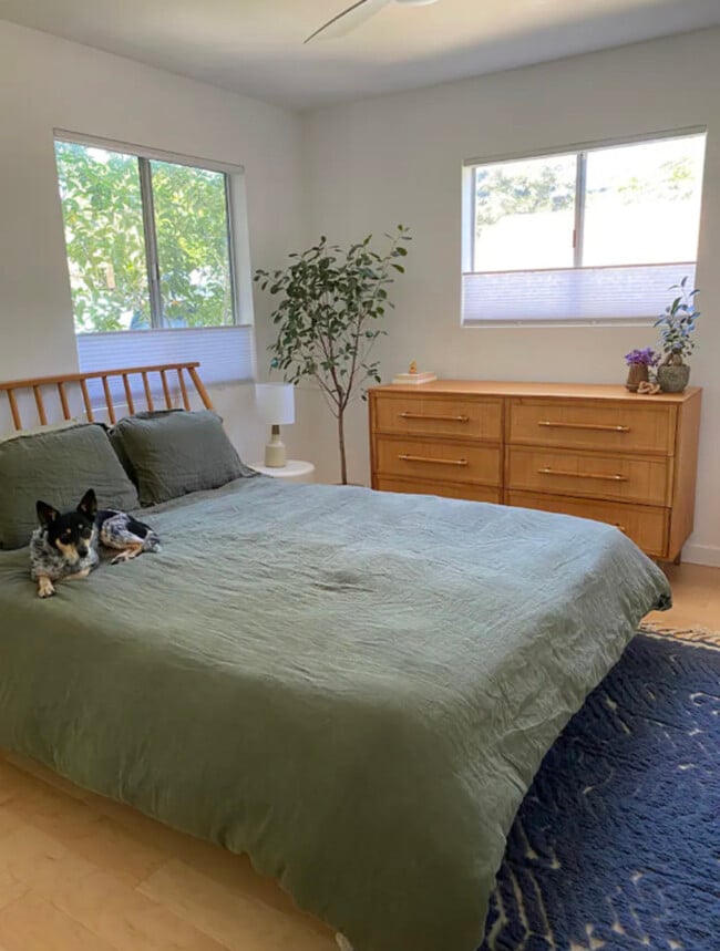 Master bedroom windows open to backyard - 255 N Arnaz St