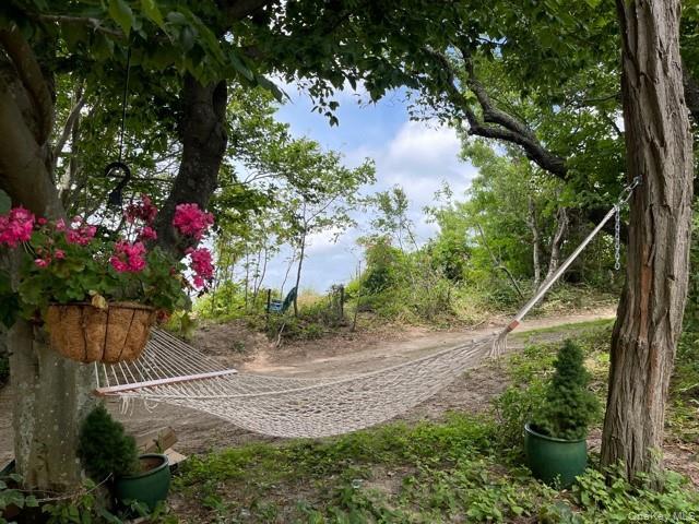 Building Photo - 24 Cliff Way