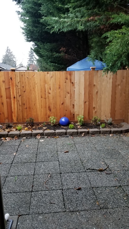 Building Photo - 14711 111th Pl NE