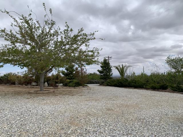 Building Photo - 9020 Pionero Rd