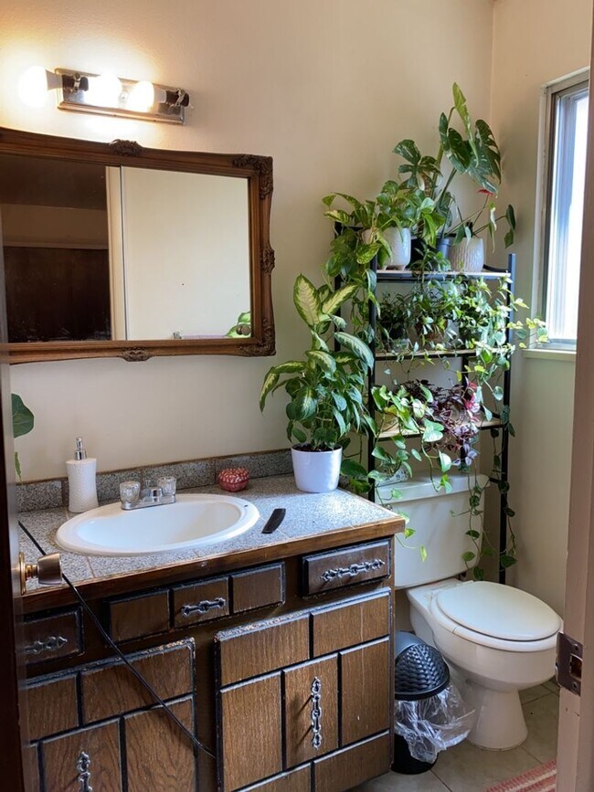 Building Photo - STUDENTS WELCOME! Sprawling 6 Bed / 3 Bath Home Near College and Drake