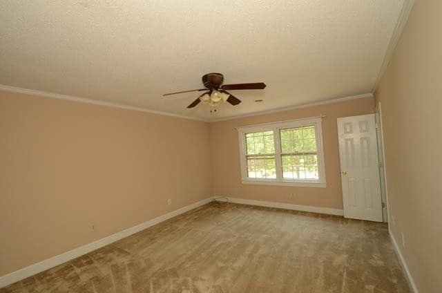 Building Photo - 113 Wesleyan Ct