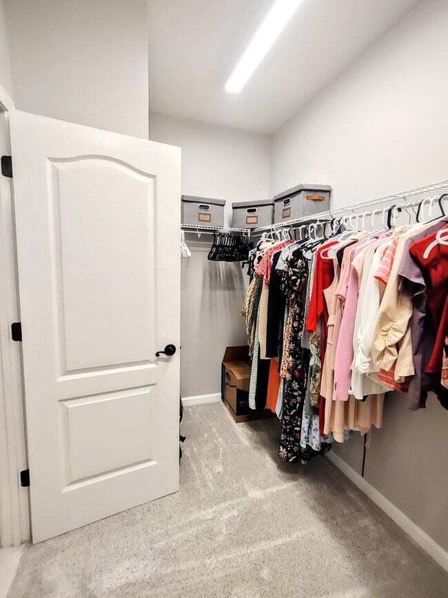 Building Photo - 253 Bella Dr