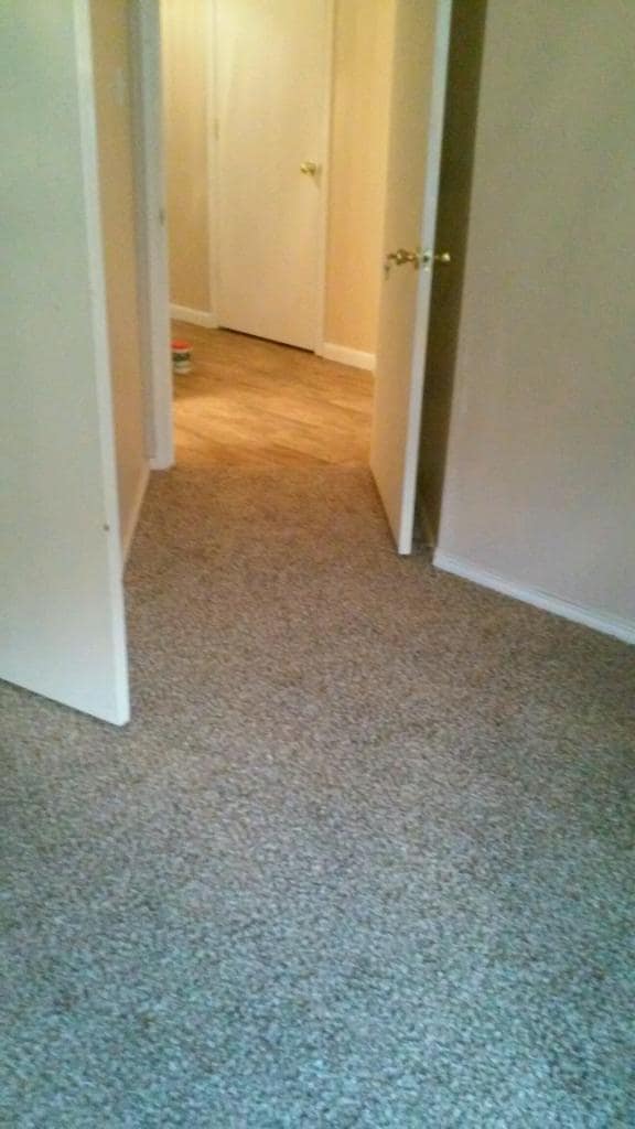 New carpet in all rooms - 5611 Northstar Ln