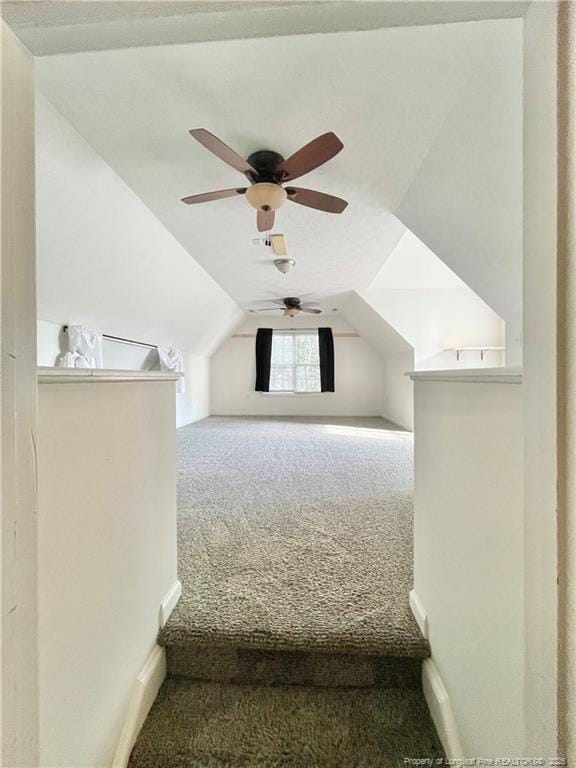 Building Photo - 50 Sweet Gum Cir