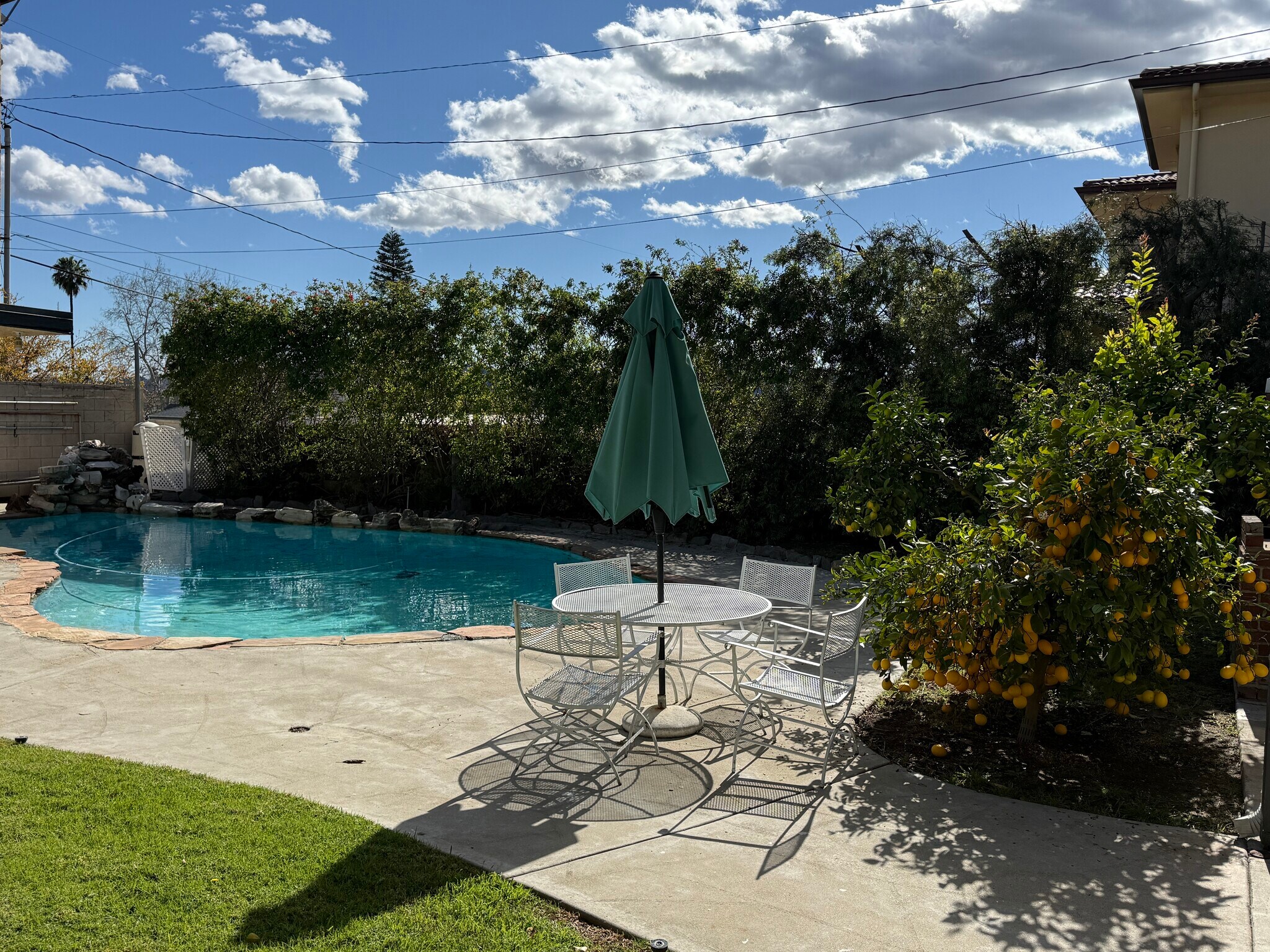 Backyard with grassy area and pool, patio set, avocado and lemon trees. - 1068 E San Jose Ave