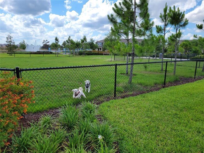 Building Photo - 9753 Lost Creek Dr