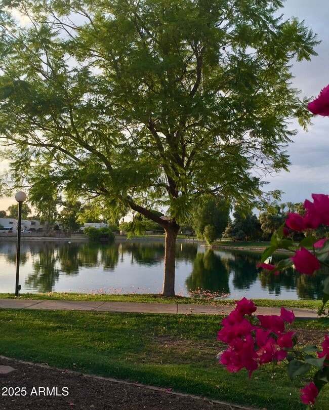 Building Photo - 2644 W Desert Cove Ave