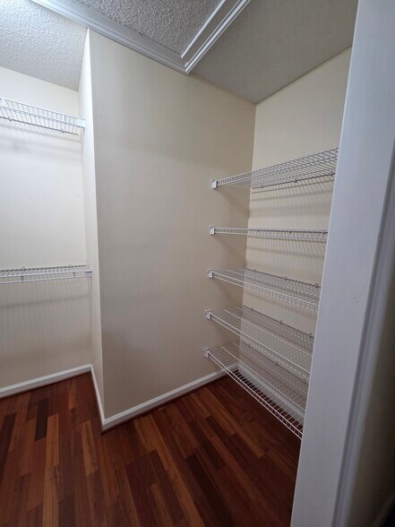 Building Photo - 593 Calypso Dr