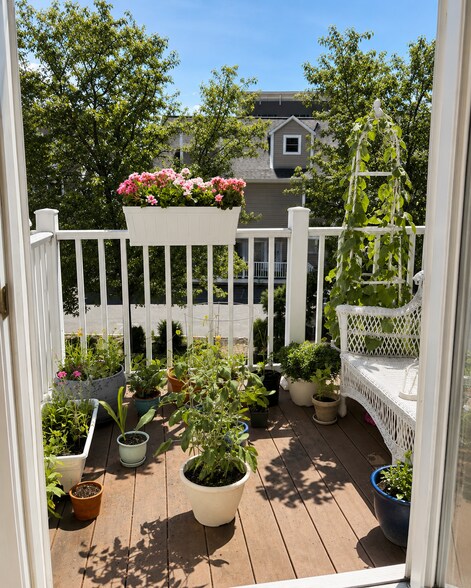 Building Photo - 43 Leyden St