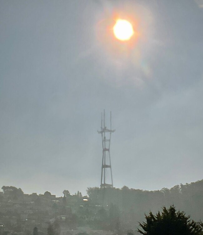 Building Photo - Newly Renovated Full Floor Flat! 4BR/3BA. In Unit Laundry! Dishwasher! Bay Windows!