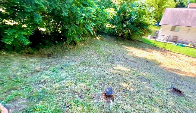 Back Yard - 740 Southern Ave