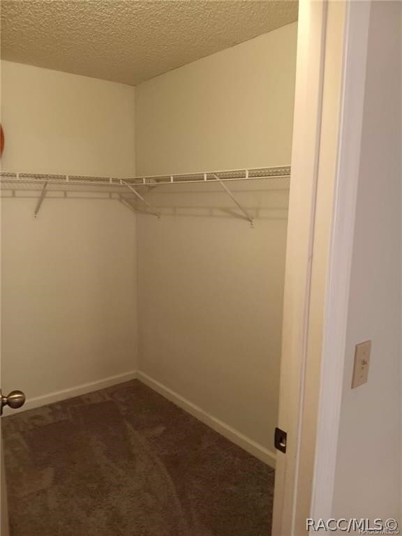 Building Photo - 2360 Forest Dr