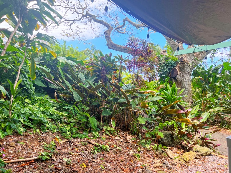 Building Photo - 81-6312-6467 Mamalahoa Hwy