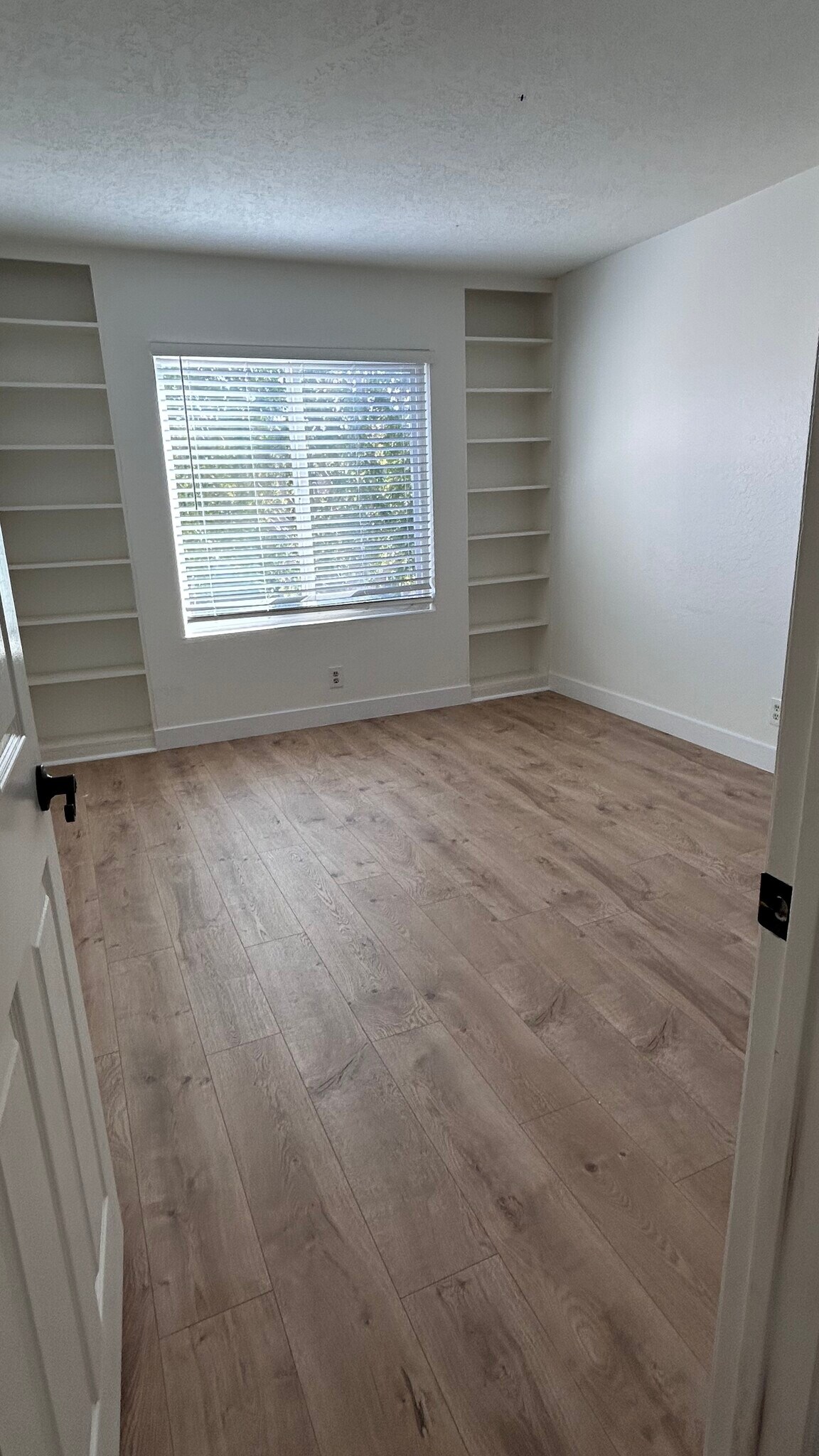 Building Photo - 2924 Camino Capistrano