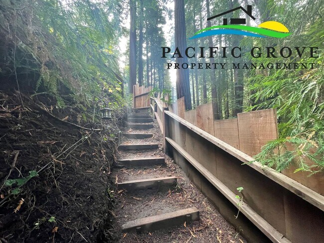 Building Photo - Cabin on Palo Colorado