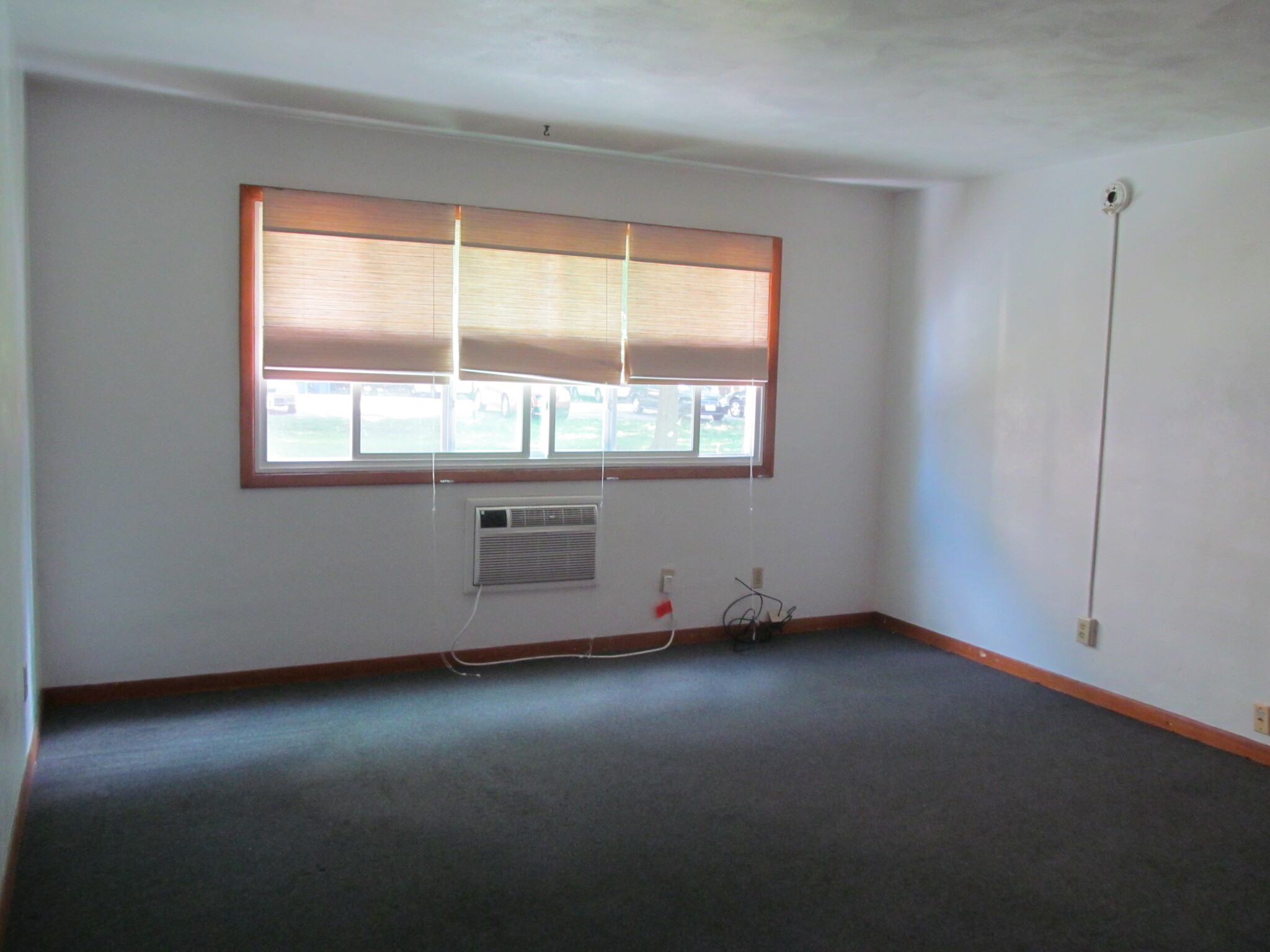living room - 307 S Prairie St
