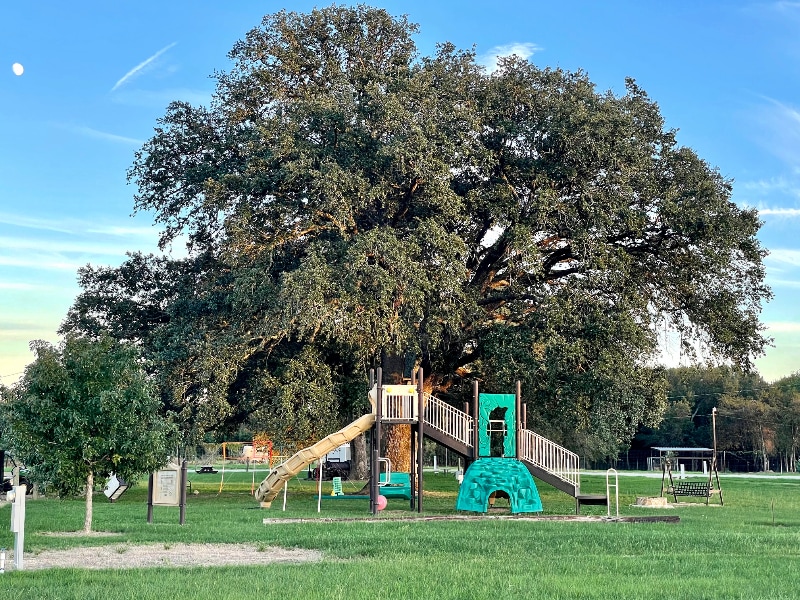 Building Photo - 40 CR 267