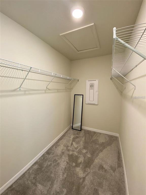 Building Photo - 4533 Sparkling Shell Ave