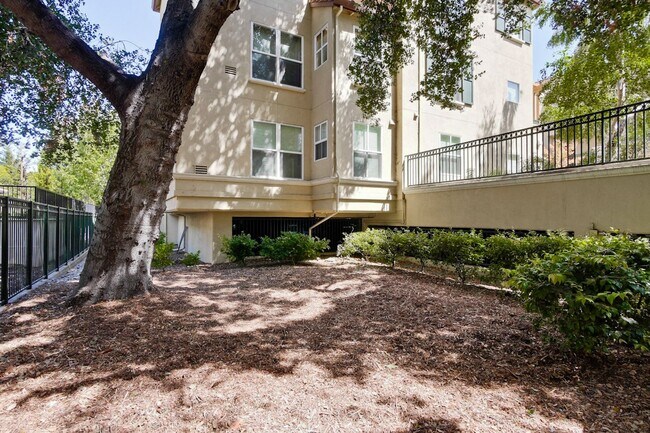Building Photo - Downtown Mountain View l Stylish Home