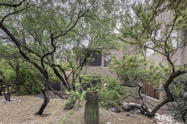 Building Photo - 6655 N Canyon Crest Dr