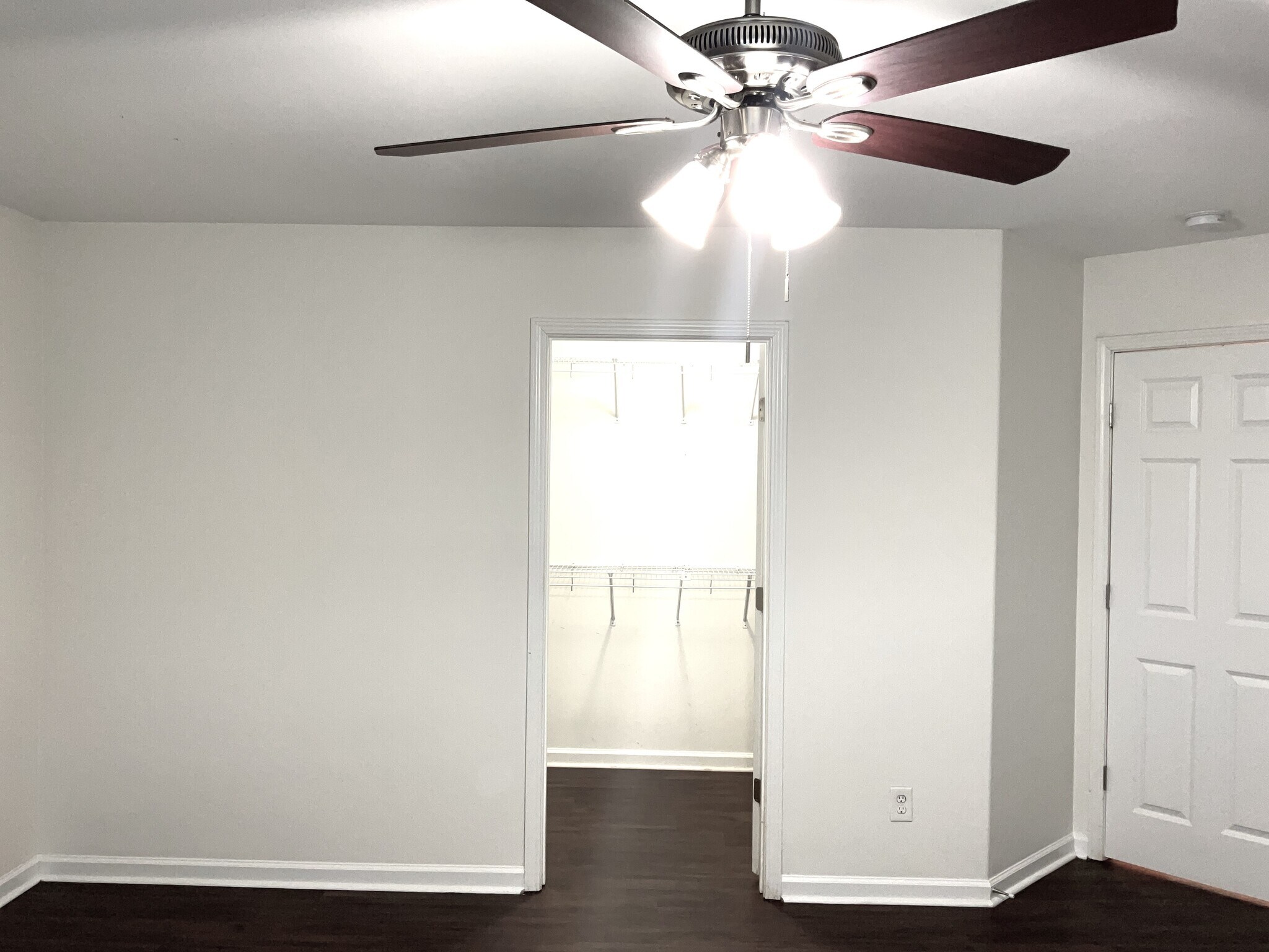 Building Photo - 51 Sago Palm Dr