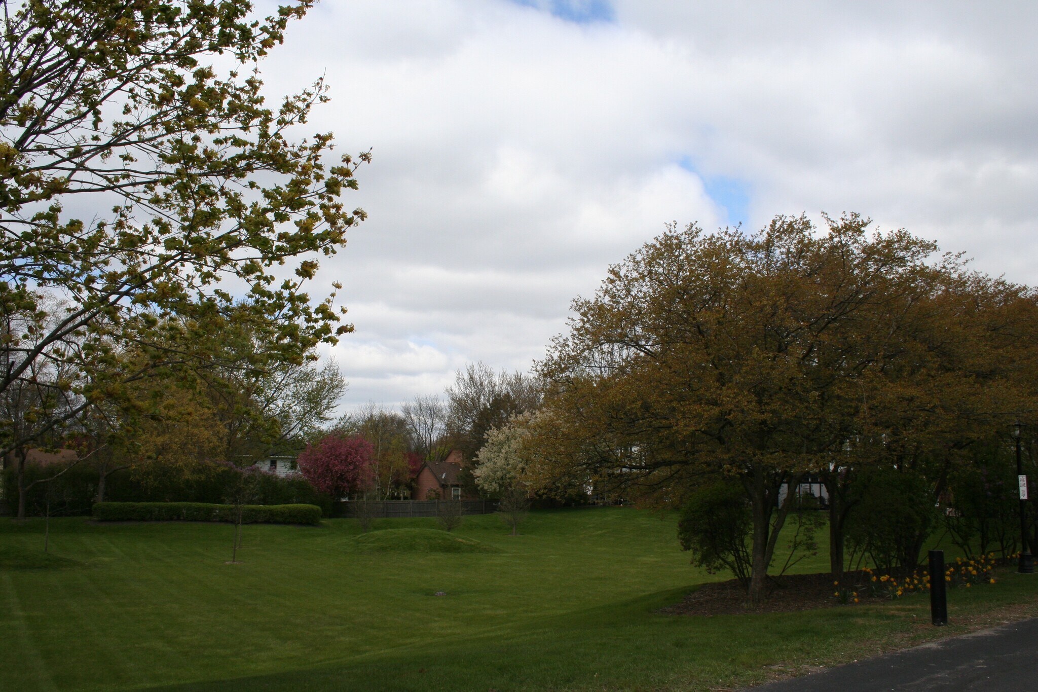 Building Photo - 837 Garfield Ave