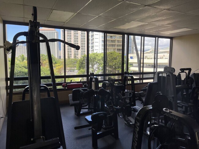 Building Photo - Waikiki, Pet Friendly. Central AC