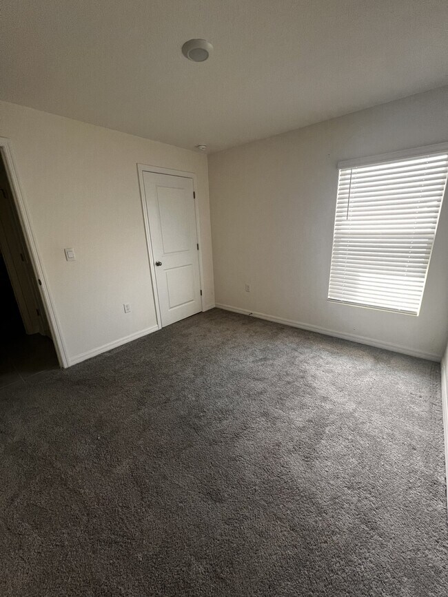 Building Photo - 450 Sunlit Coral St