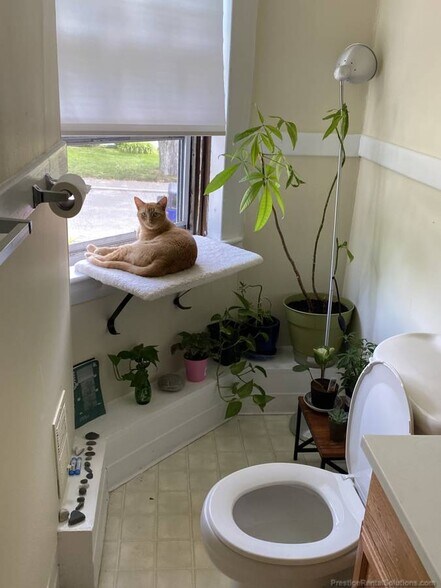 Building Photo - 297 Nahant Rd