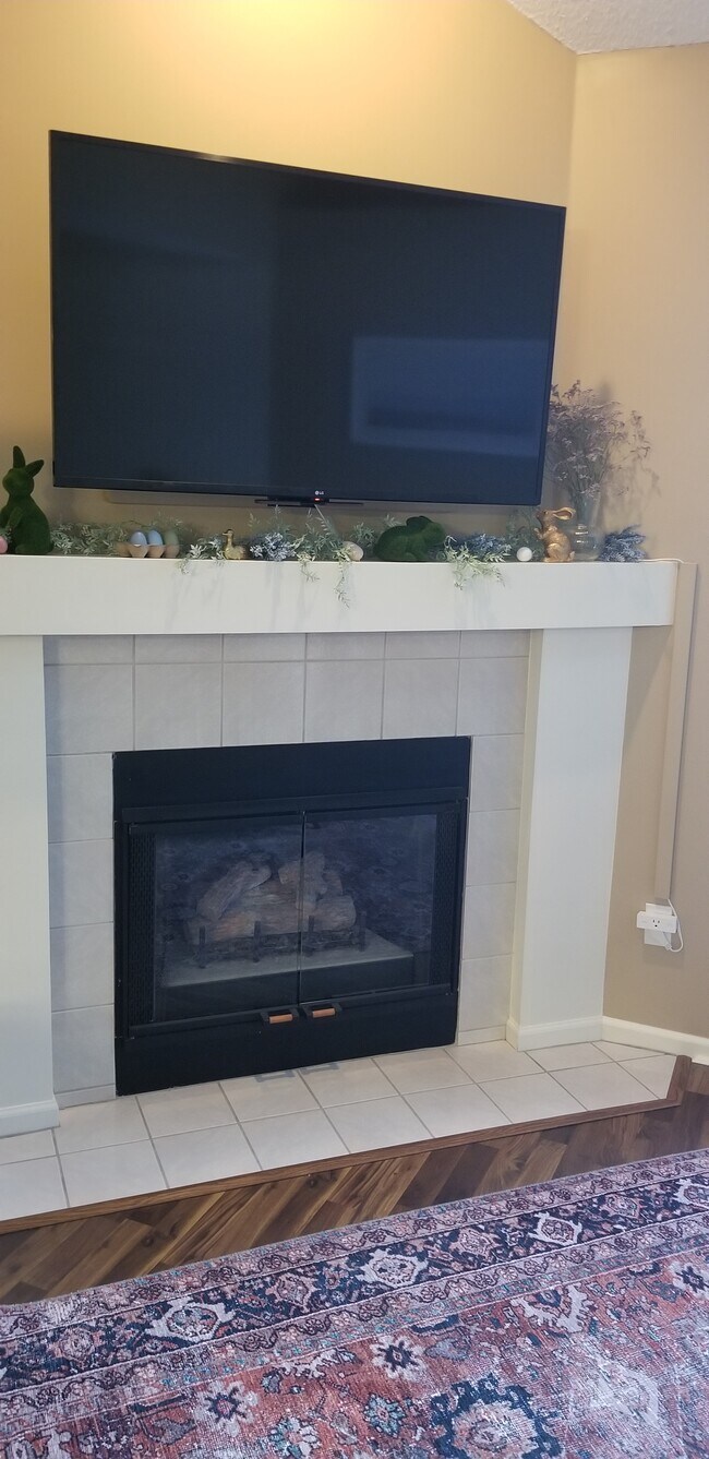 Gas Fireplace - 7540 Edinborough Way