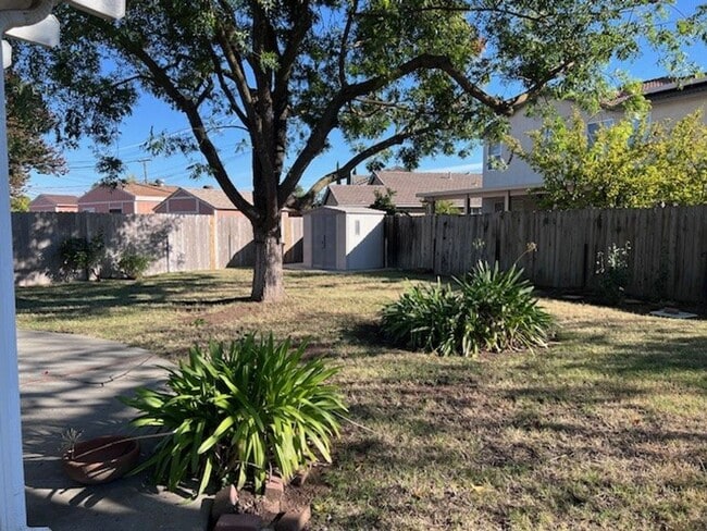 Building Photo - Freshly painted home with large backyard. ...