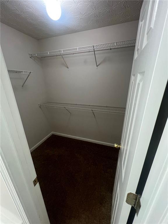 Building Photo - 1581 Cordillo Ct