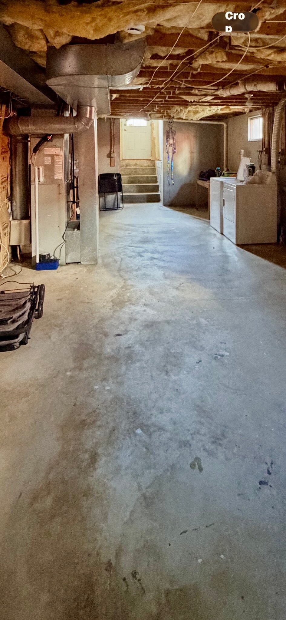 Basement - 127 Brown St