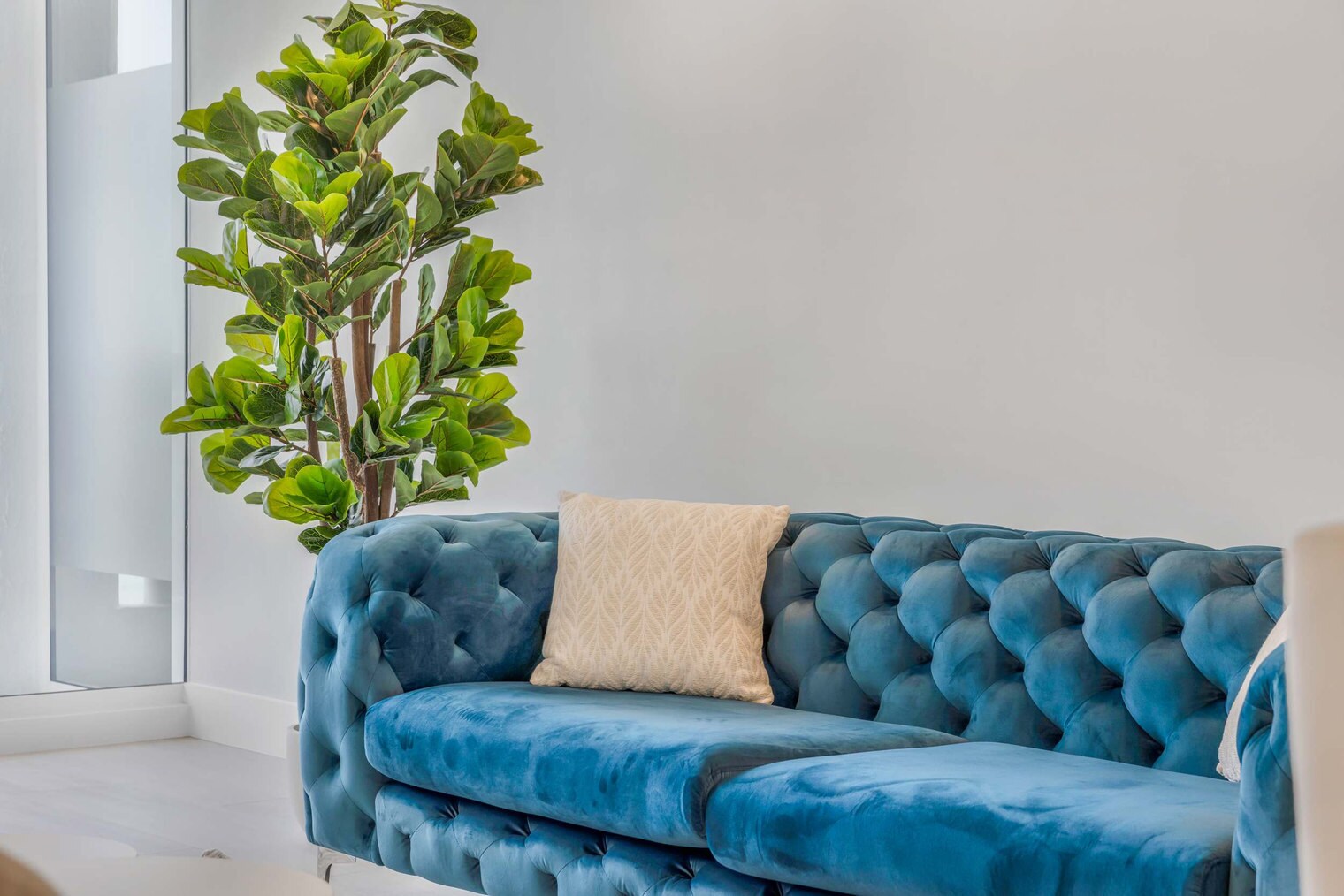 Building Photo - 1717 N Bayshore Dr