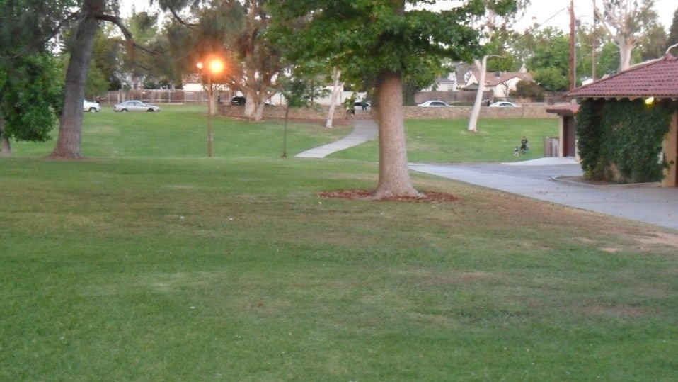 Building Photo - 305 N Palm Ave