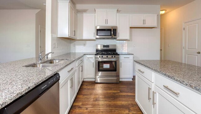 Building Photo - Spacious Newer Construction In Candler