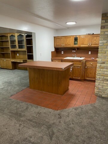 basement wet bar - 9261 S Shad Ln