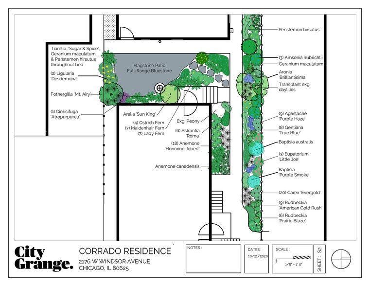General sketch of patio and plants in shared garden area - 2176 W Windsor Ave