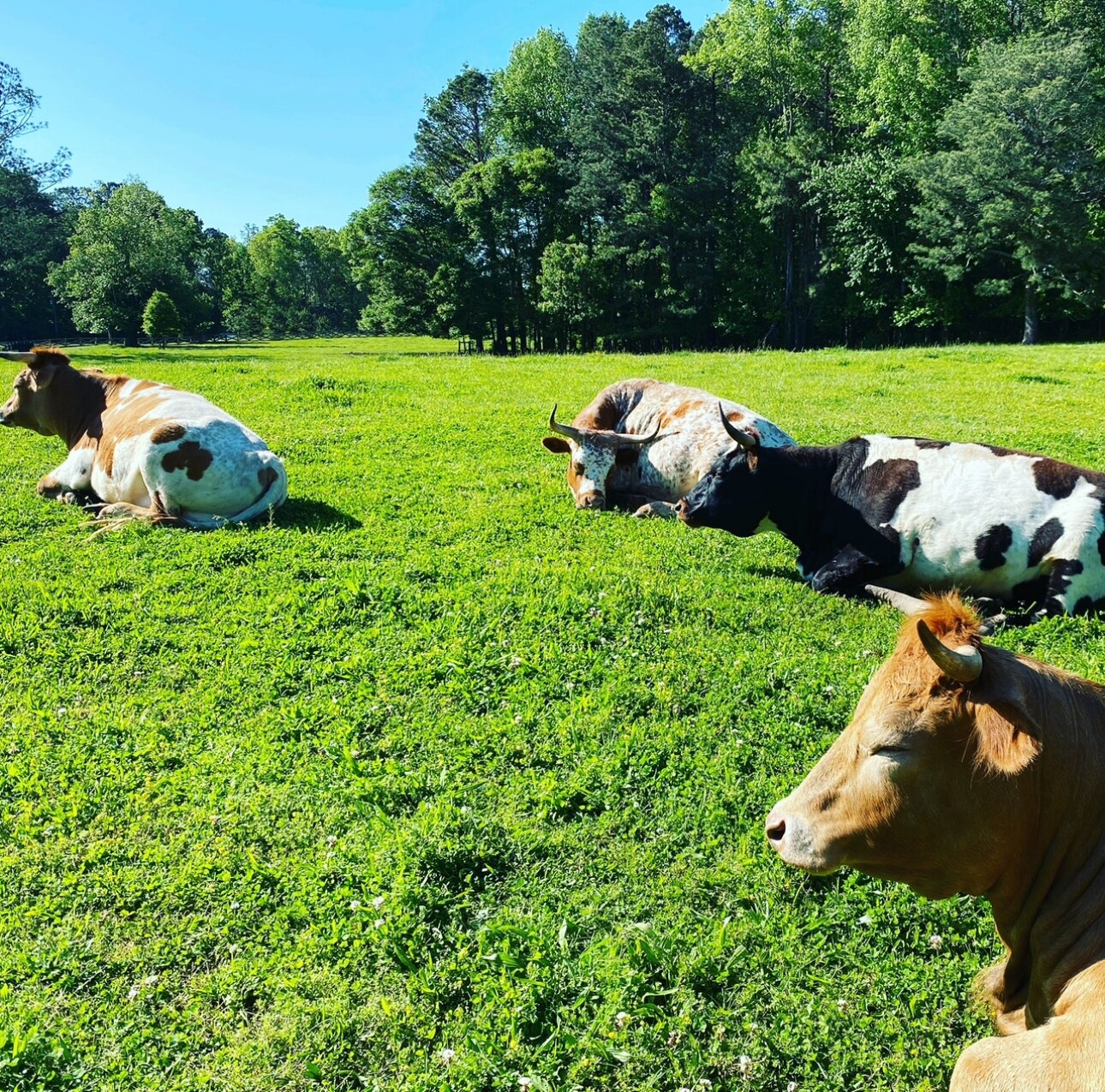 Building Photo - 729 Highway 314