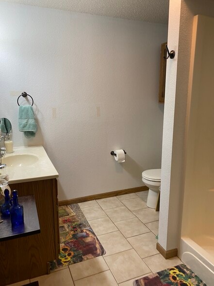 Lower level bathroom - 1138 Grandview Ave