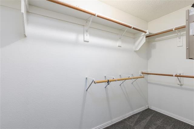 Building Photo - 9804 Thomas Jefferson Dr