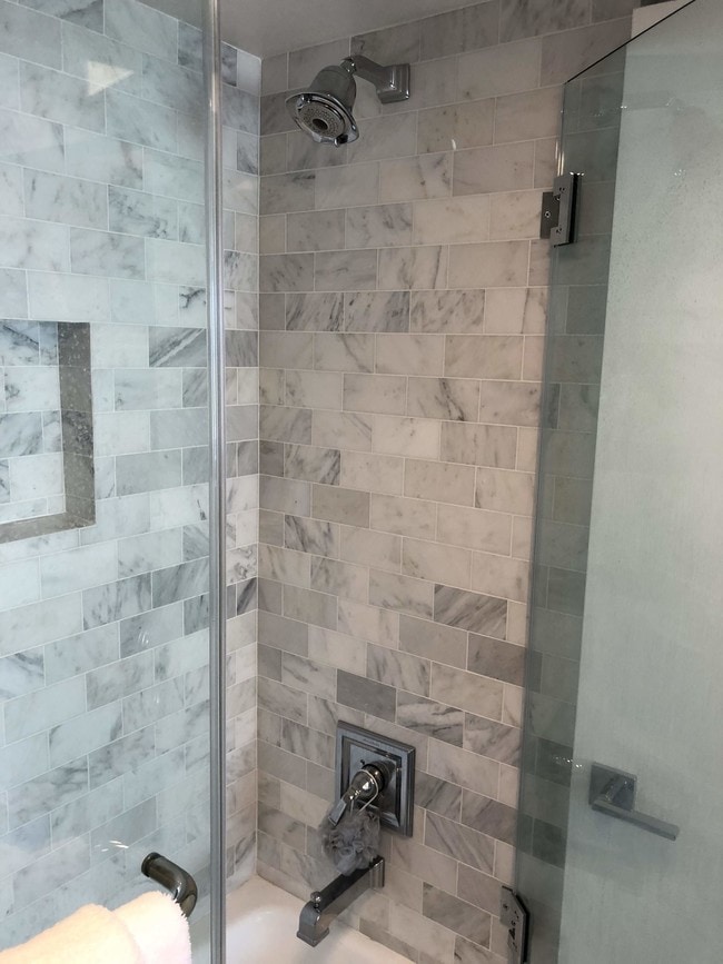 Master Shower with frameless glass door - 736 Gould Ave