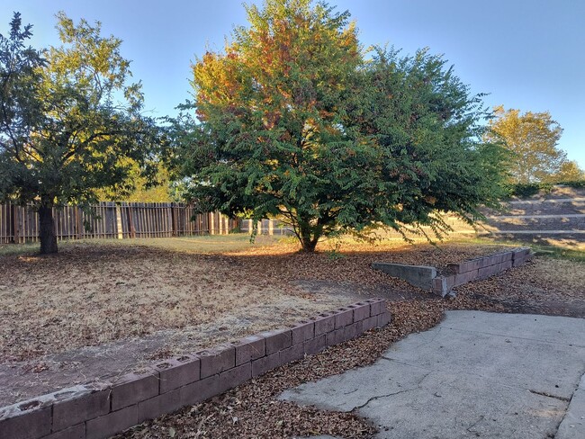 Building Photo - Country Ranch-Style In Fair Oaks