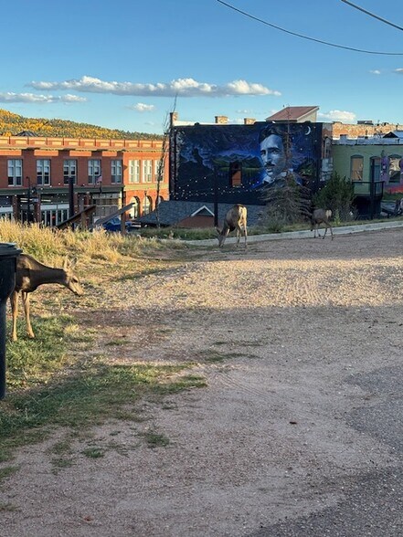 Building Photo - 114 N 4th St