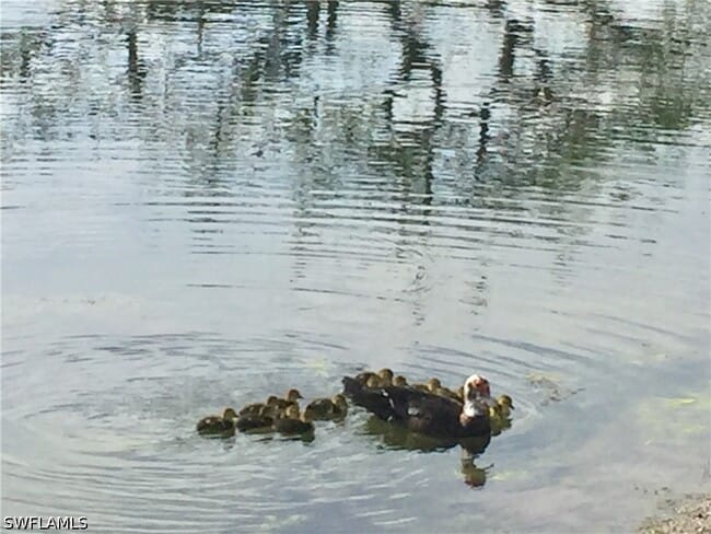 Building Photo - 1645 Spoonbill Ln