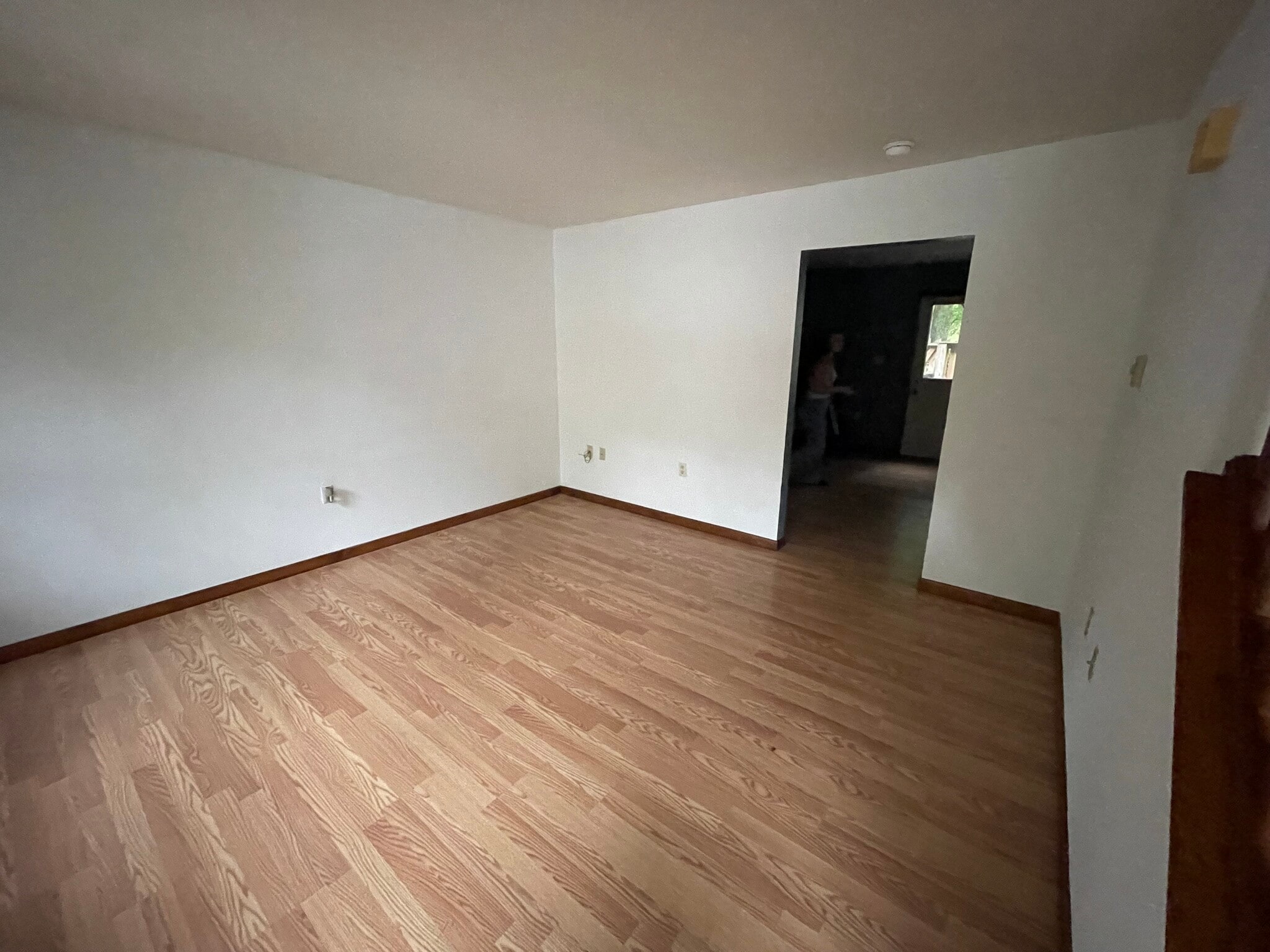Living room - 223 Oakwood Ave