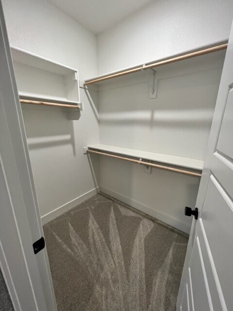 Building Photo - 6203 SW Prism Path St