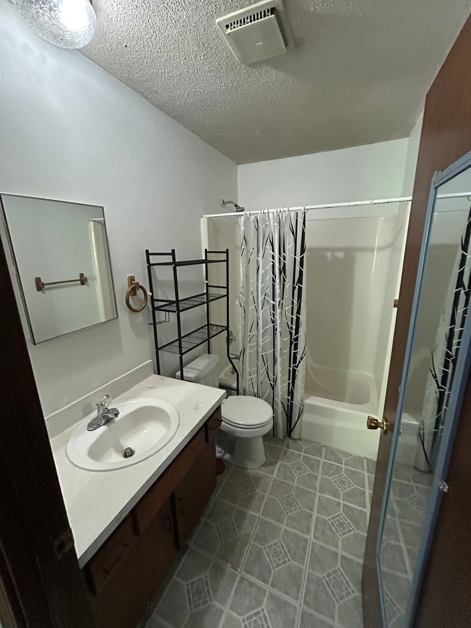 Bathroom (new flooring coming) - 161 Oak Hill Cluster