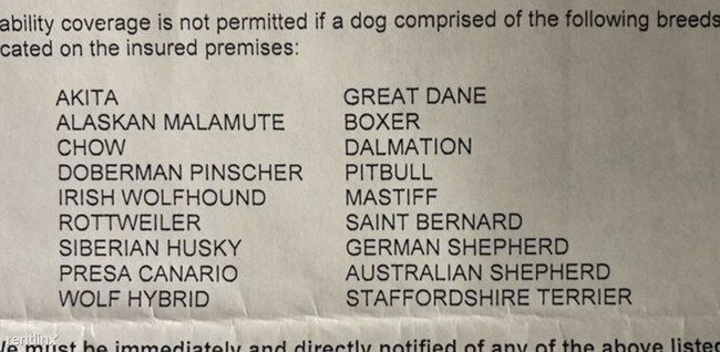 Building Photo - 2 br, 1 bath 4plex - 850 Houseman Upper